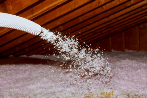 Best Blown-in Insulation in Pelion, SC
