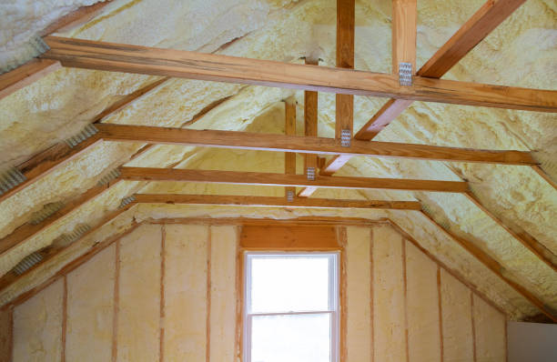 Best Commercial Insulation in Pelion, SC