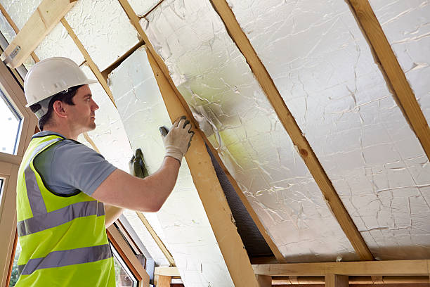 Types of Insulation We Offer in Pelion, SC