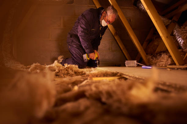 Best Cellulose Insulation in Pelion, SC